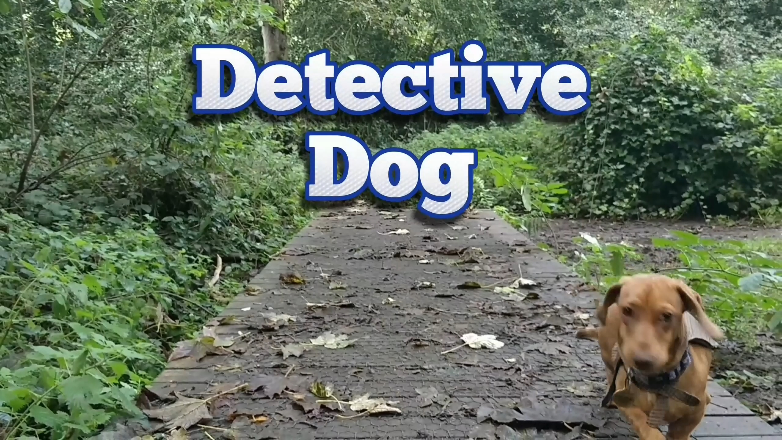 Detective Dog – Literary Detective